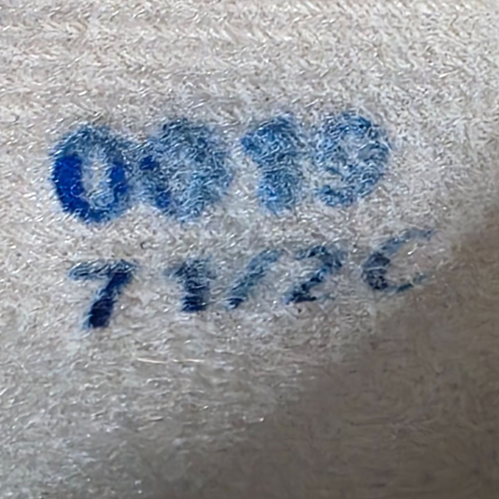 p1-590.jpg